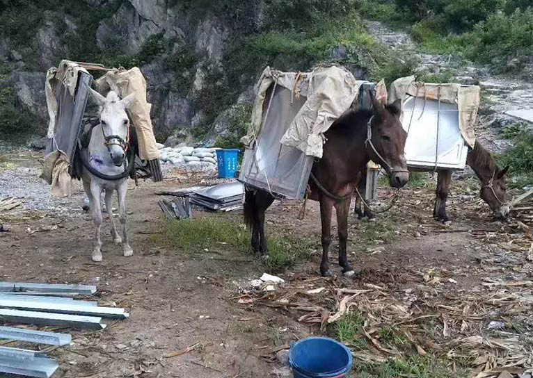 客户案例